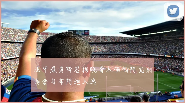 法甲最贵阵容揭晓青木领衔阿克利乌舍与布阿迪入选