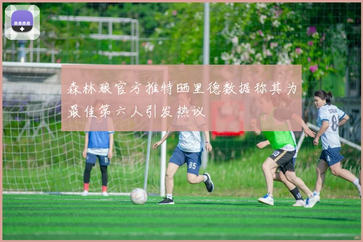 森林狼官方推特晒里德数据称其为最佳第六人引发热议