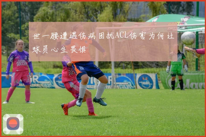 世一腰遭遇伤病困扰ACL伤害为何让球员心生畏惧